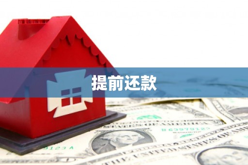 南州提前还款