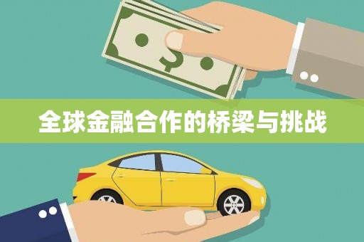 南州全球金融合作的桥梁与挑战