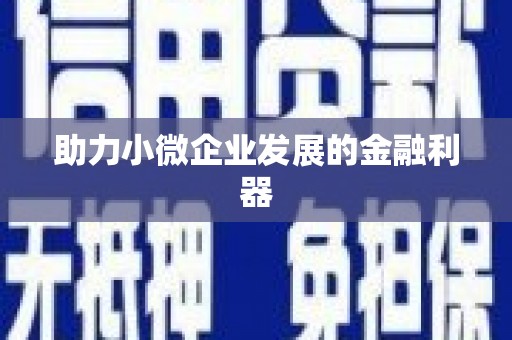 南州助力小微企业发展的金融利器