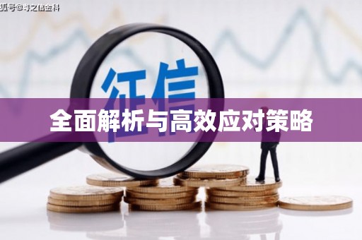 南州全面解析与高效应对策略