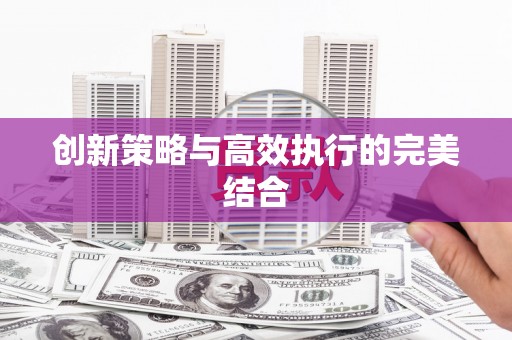 南州创新策略与高效执行的完美结合