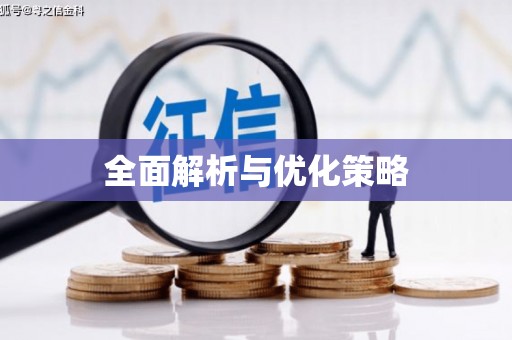南州全面解析与优化策略