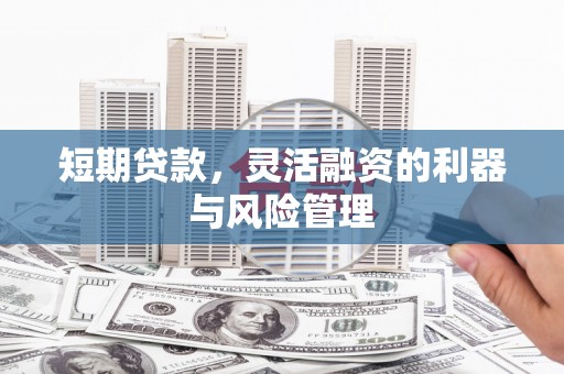 南州短期贷款，灵活融资的利器与风险管理